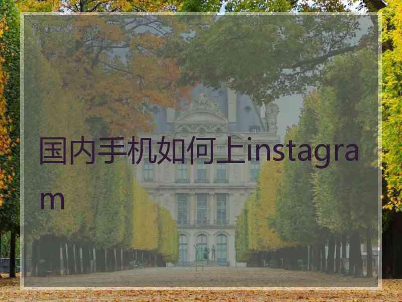 国内手机如何上instagram