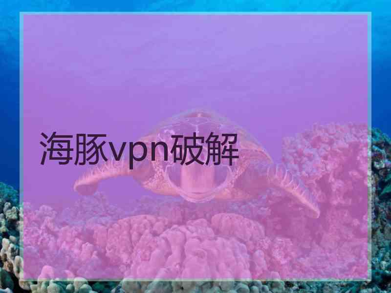 海豚vpn破解