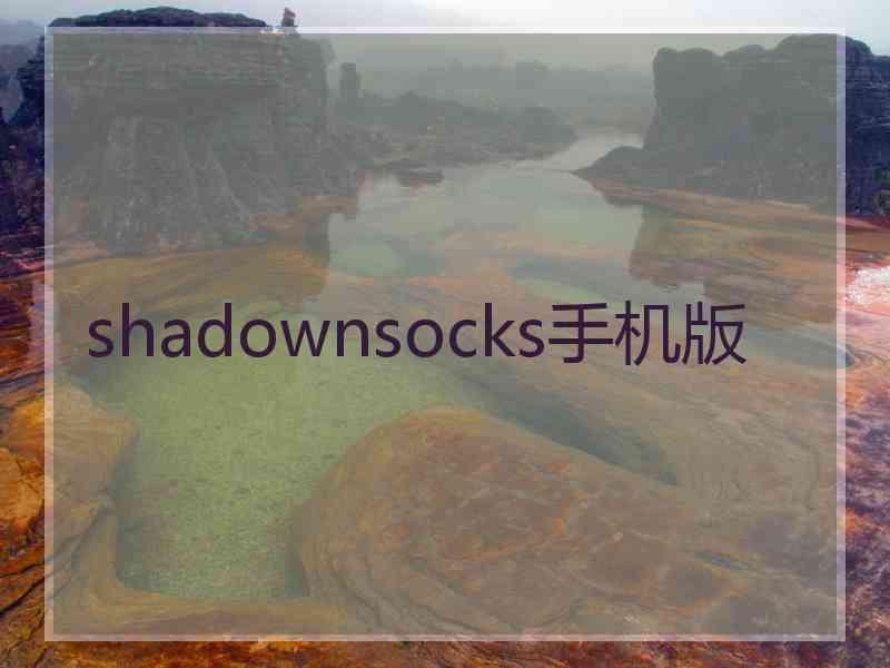 shadownsocks手机版