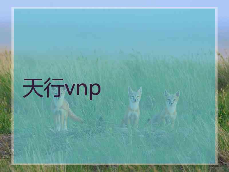 天行vnp