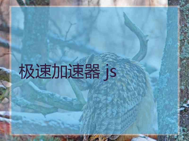 极速加速器 js