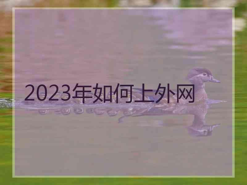 2023年如何上外网