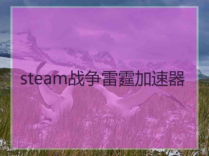 steam战争雷霆加速器