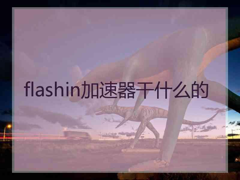 flashin加速器干什么的