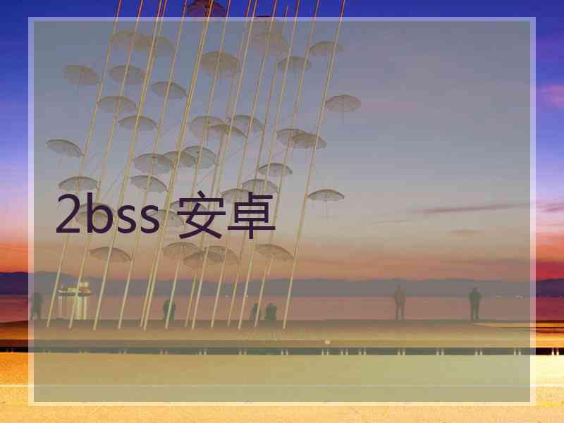 2bss 安卓