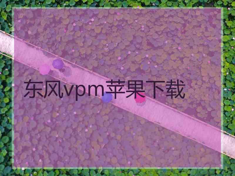 东风vpm苹果下载