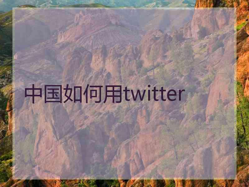 中国如何用twitter