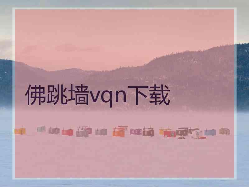 佛跳墙vqn下载