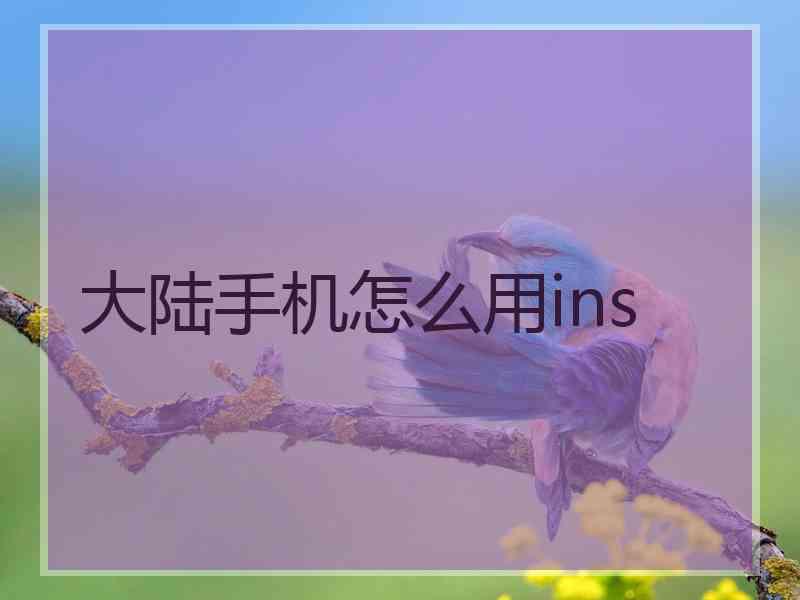 大陆手机怎么用ins