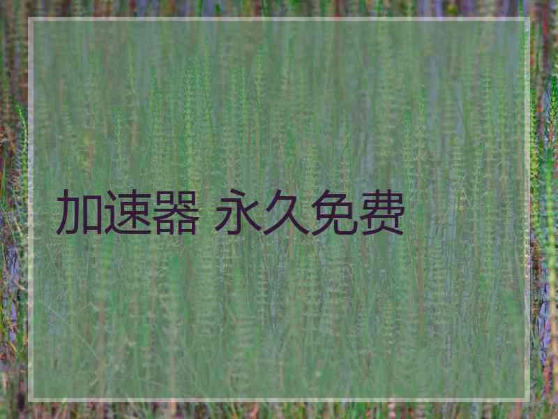 加速器 永久免费