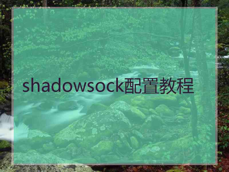 shadowsock配置教程