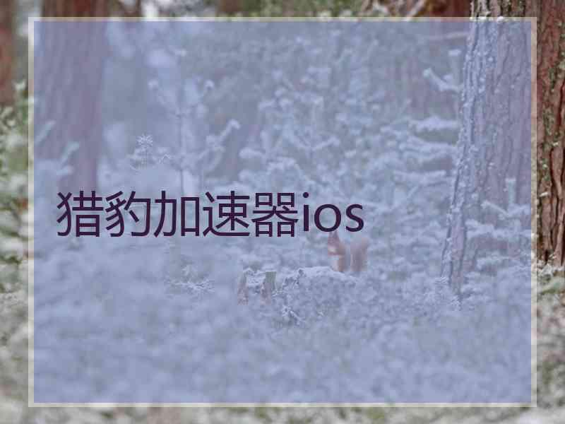 猎豹加速器ios