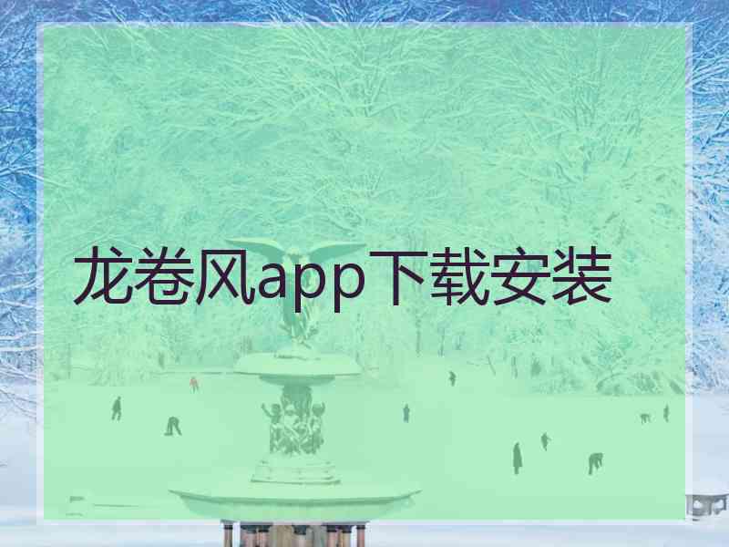 龙卷风app下载安装