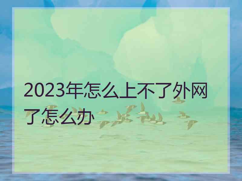 2023年怎么上不了外网了怎么办