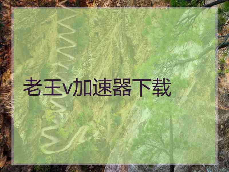 老王v加速器下载