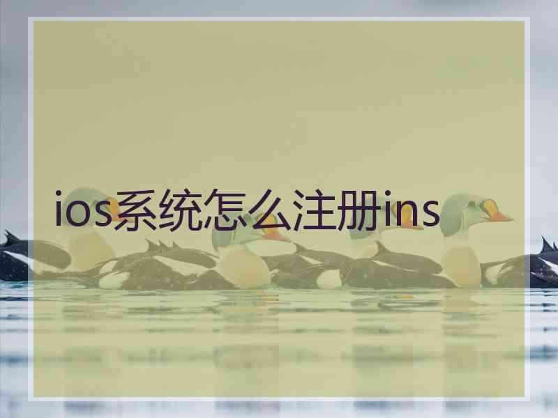 ios系统怎么注册ins